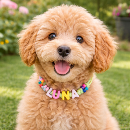¡Diseña tu propio collar AJUSTABLE para perros o gatos! Nombre, cuentas y correa personalizados