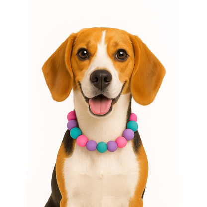 Adjustable Beaded Dog Collar
