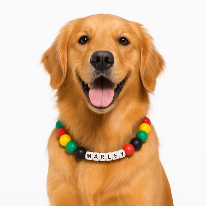 Rastafari friendship bracelet dog collar and bracelet set- Matching dog and owner- Adjustable