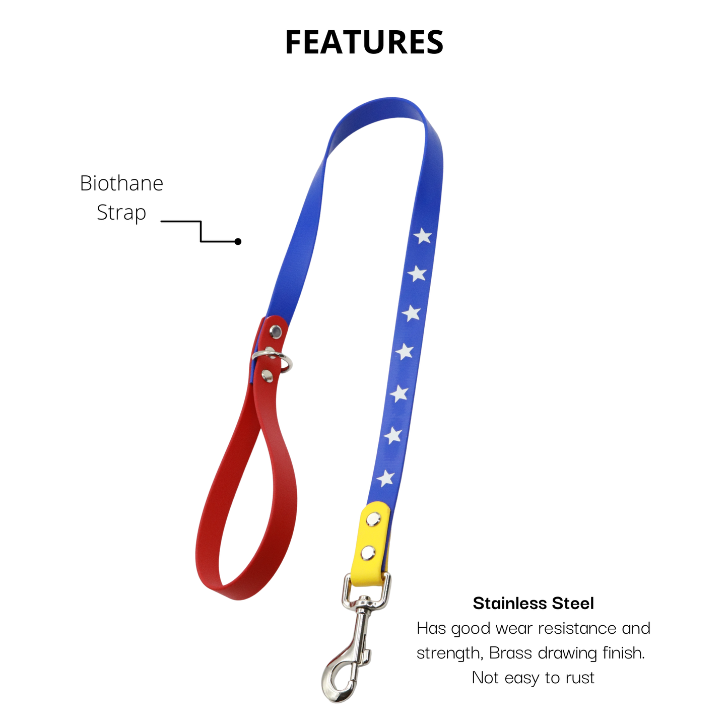 Venezuela Set - Leash and Collar