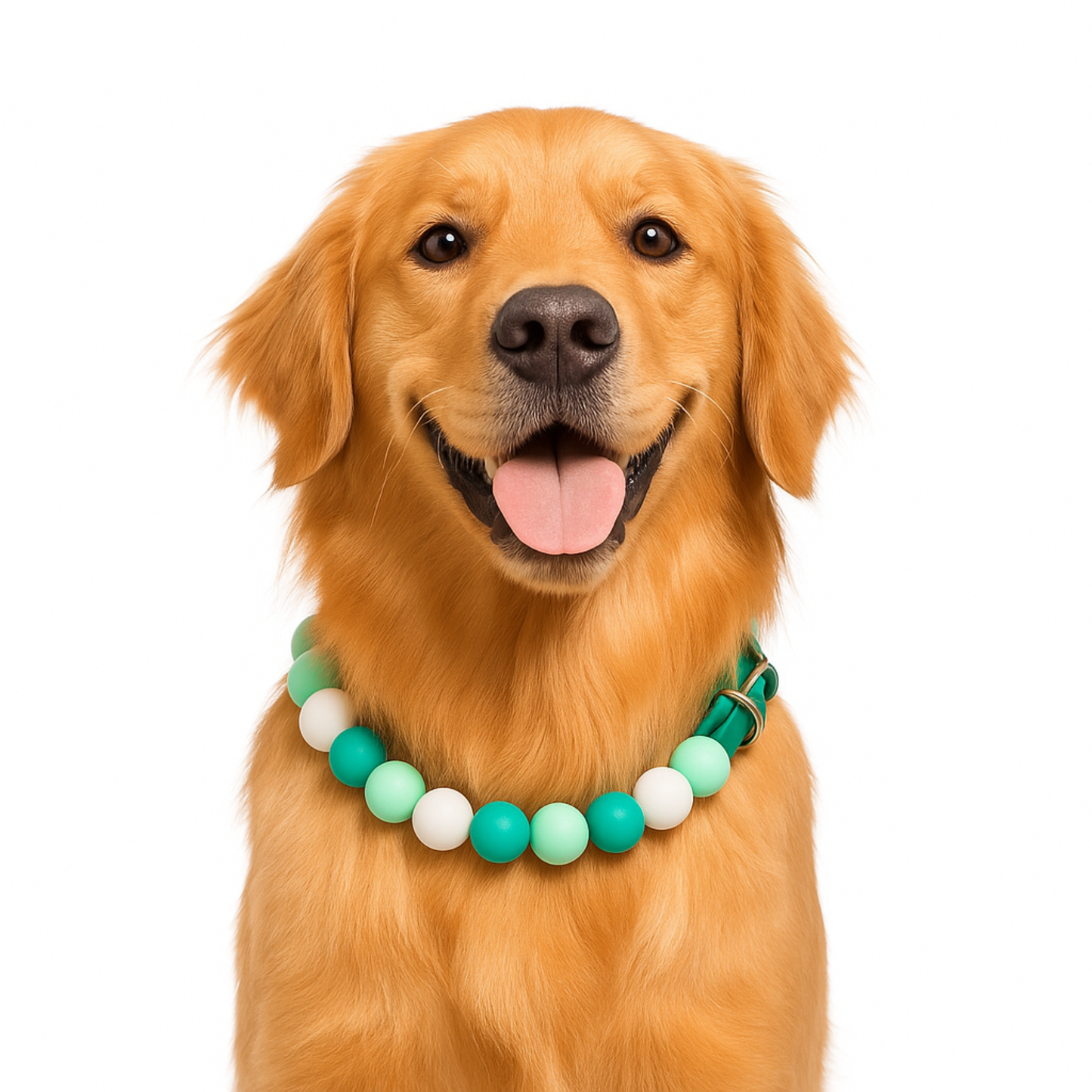 Adjustable Beaded Dog Collar