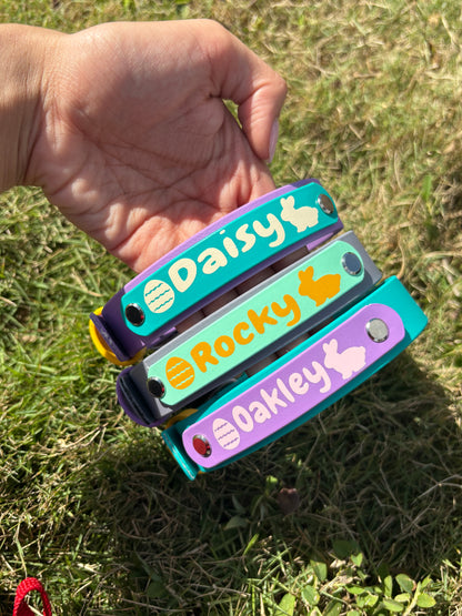 Easter Biothane® Dog Collar - Custom Name