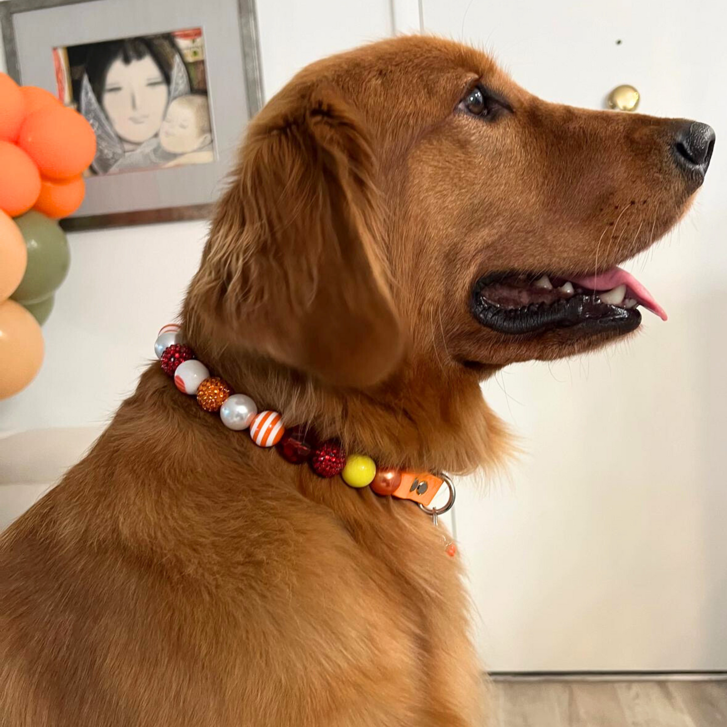 Isabella- Thanksgiving Beaded dog collar