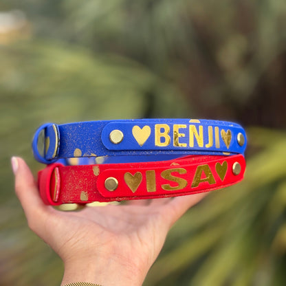Valentines Biothane® Dog Collar - Custom Name