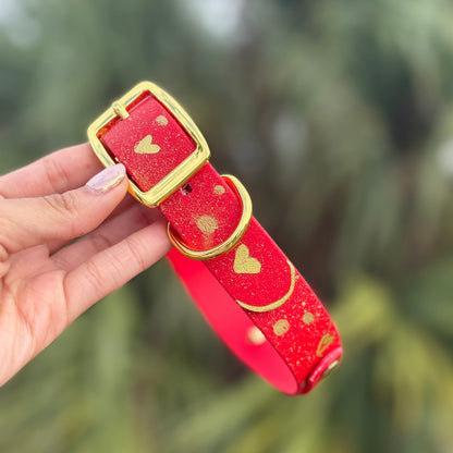 Valentines Biothane® Dog Collar - Custom Name