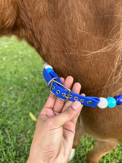 ¡Diseña tu propio collar AJUSTABLE para perros o gatos! Nombre, cuentas y correa personalizados