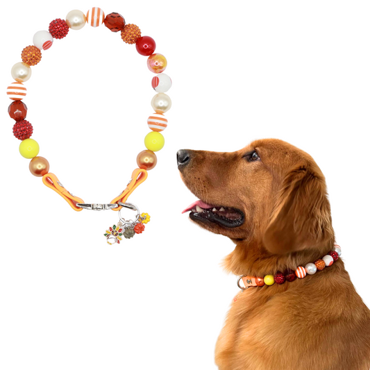 Isabella- Thanksgiving Beaded dog collar