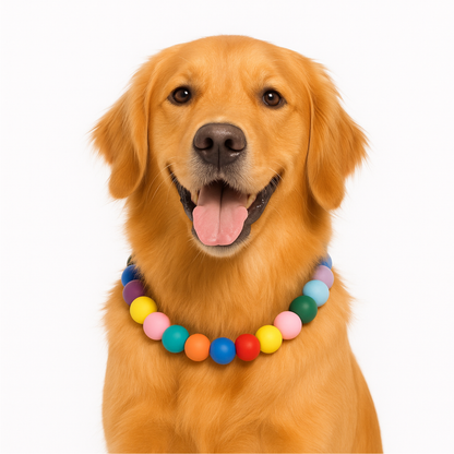Adjustable Beaded Dog Collar