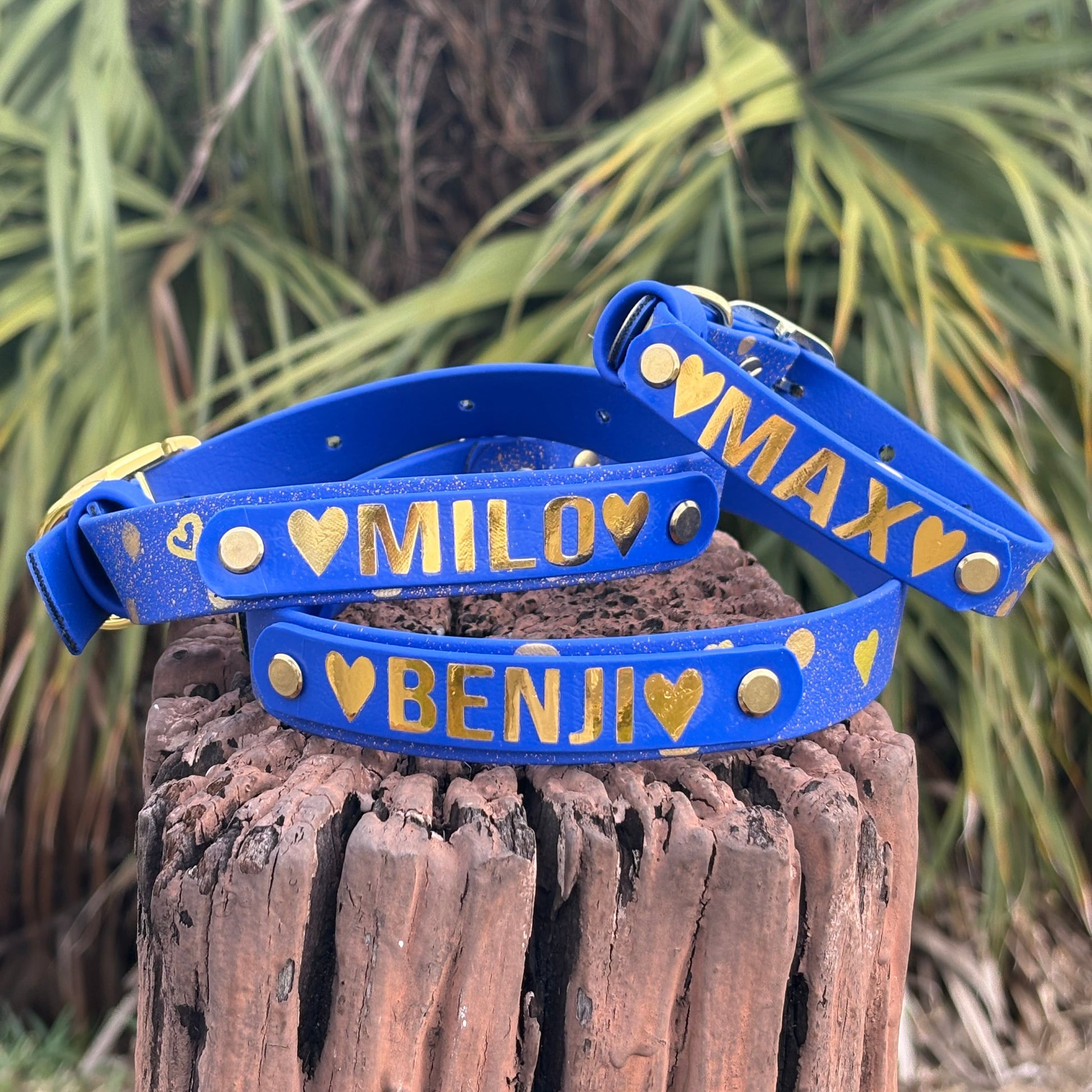 Three blue valentines dog collars with names on them, placed on a wooden log with green foliage in the background. Biothane material