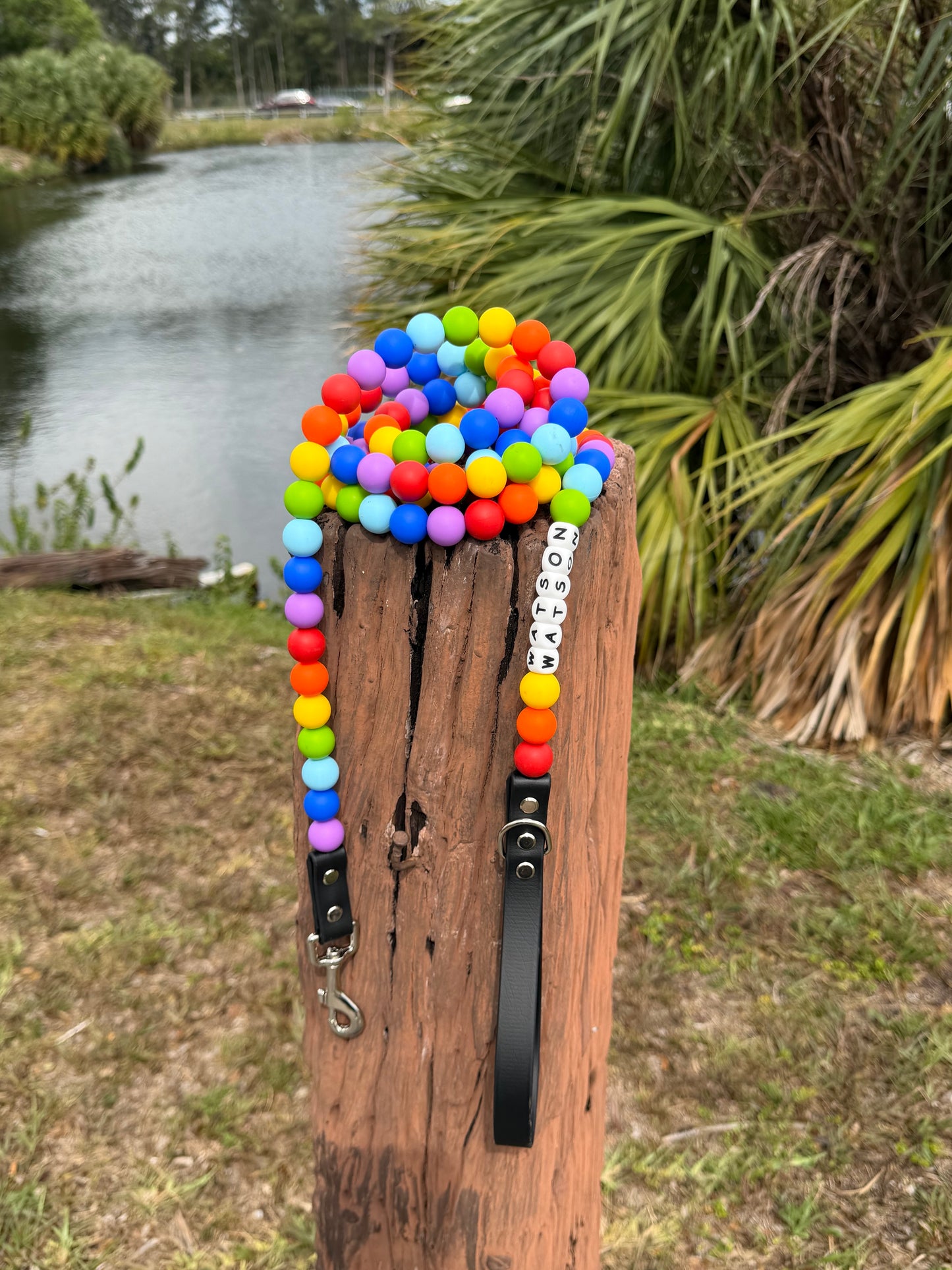 Pride Beaded dog leash