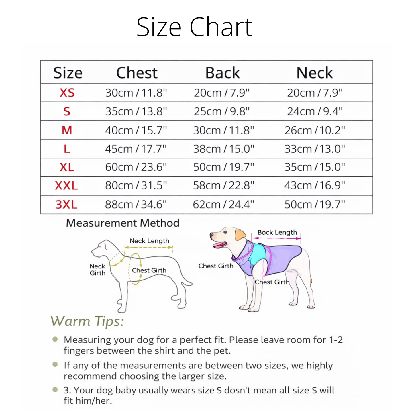 Personalized Dog T-Shirt