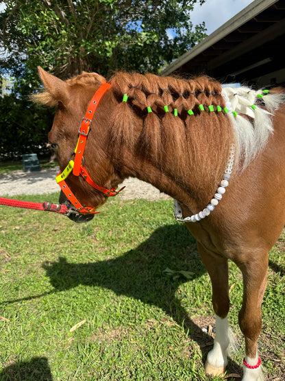 ¡Diseña tu propio collar AJUSTABLE para perros o gatos! Nombre, cuentas y correa personalizados