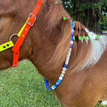 Beaded horse collar with name