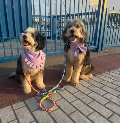 Beaded dog leash