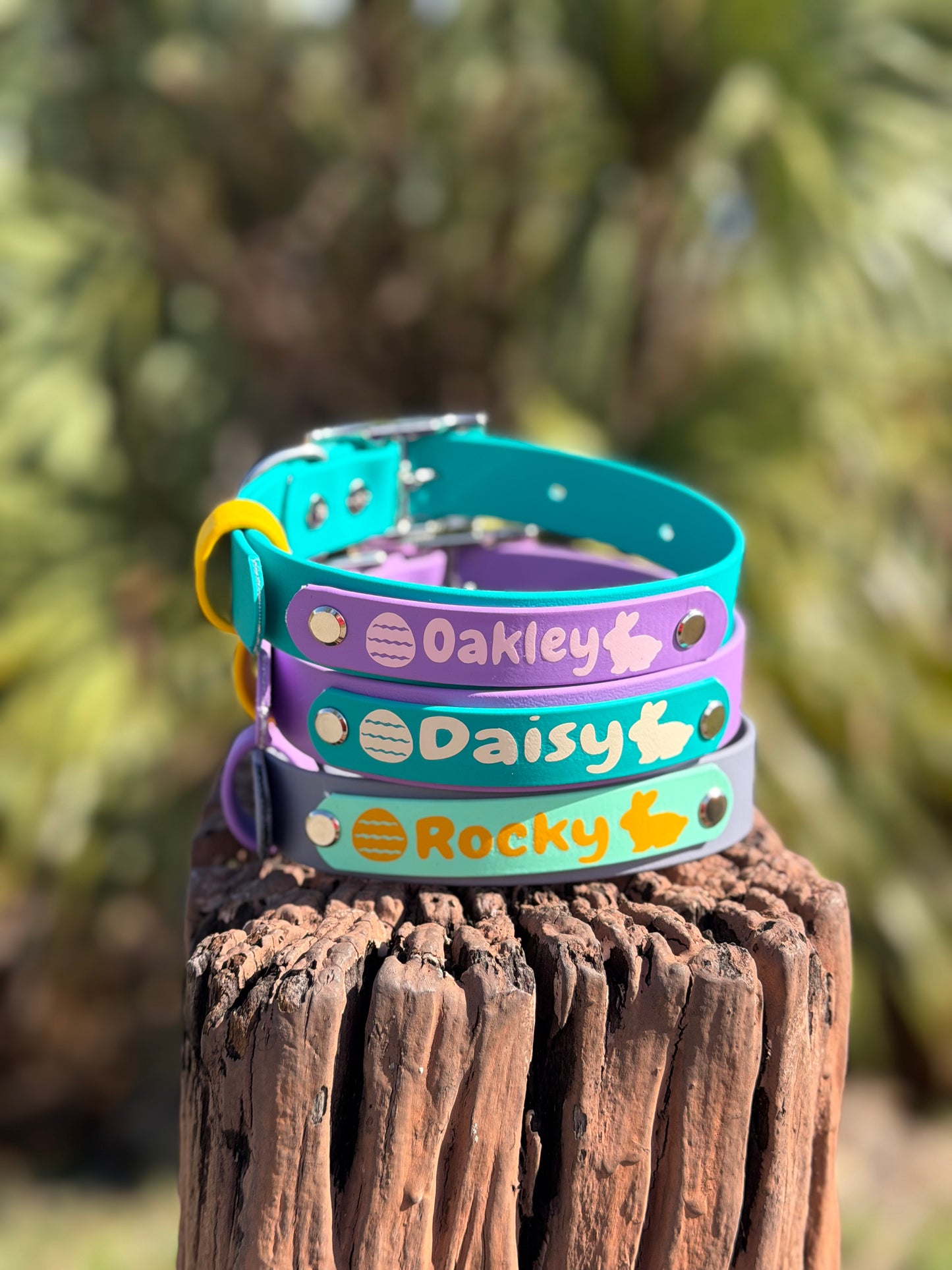 Easter Biothane® Dog Collar - Custom Name