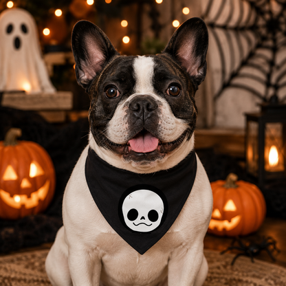 Disfraces de Halloween a juego para perros y dueños: esqueleto