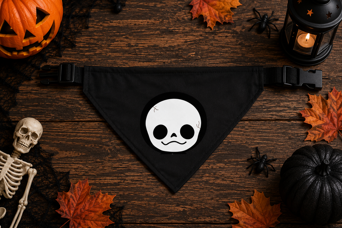 Disfraces de Halloween a juego para perros y dueños: esqueleto