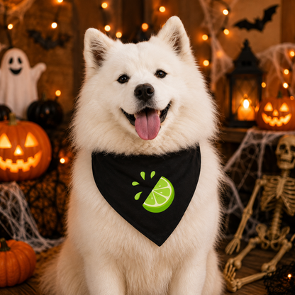 Disfraces de Halloween a juego para perros y dueños: tequile y limón