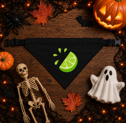 Disfraces de Halloween a juego para perros y dueños: tequile y limón