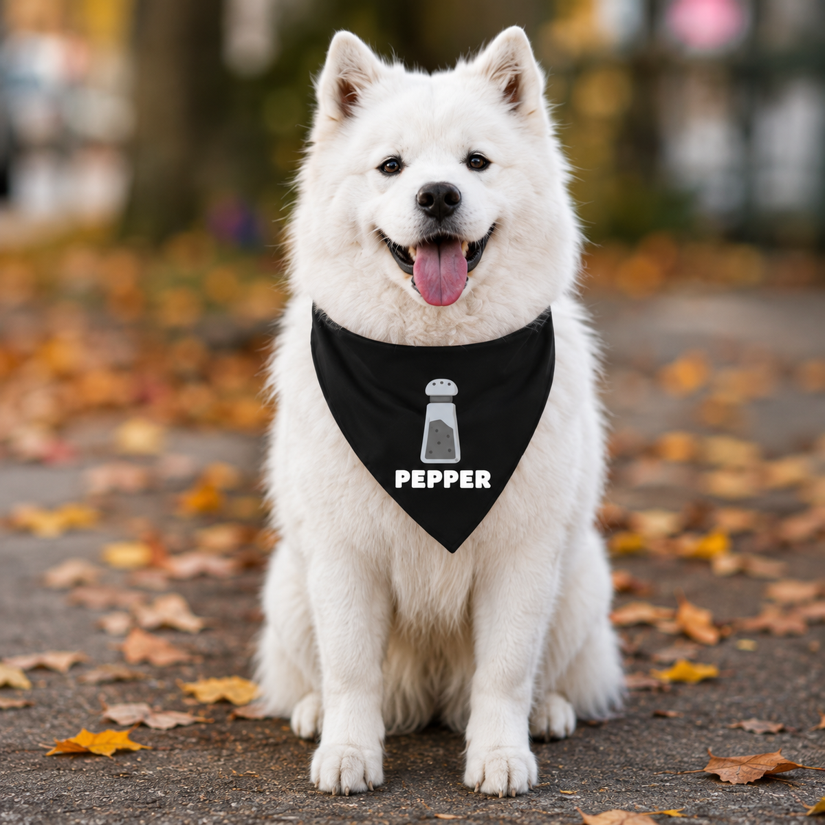 Disfraces de Halloween a juego para perros y dueños