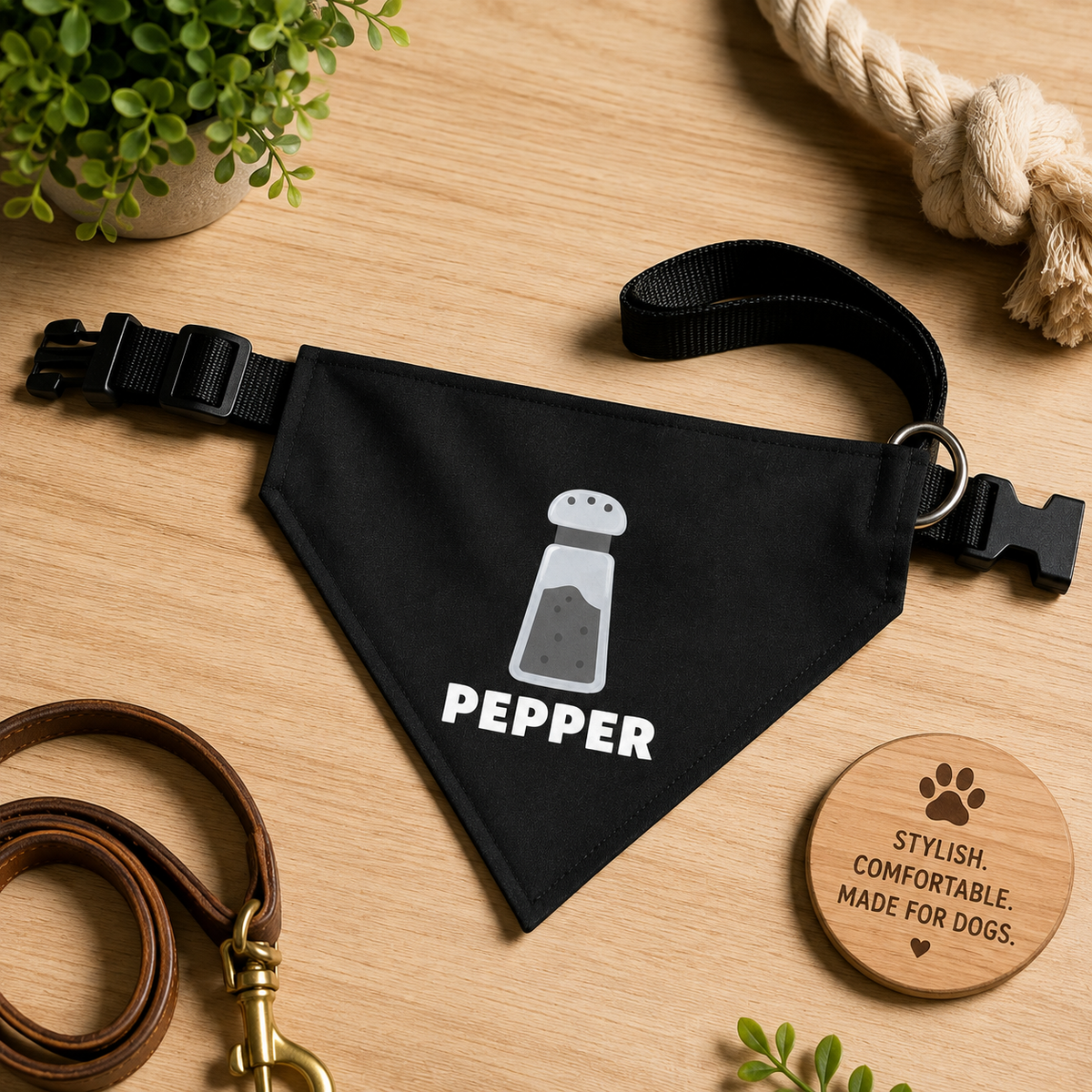 Disfraces de Halloween a juego para perros y dueños