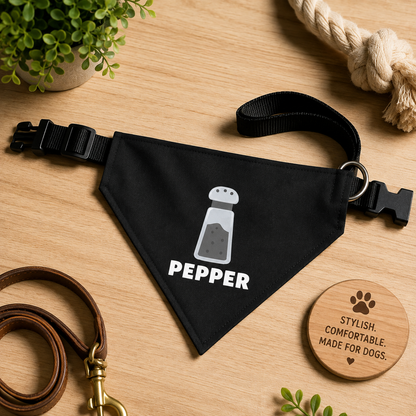 Disfraces de Halloween a juego para perros y dueños