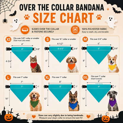 Disfraces de Halloween a juego para perros y dueños: esqueleto