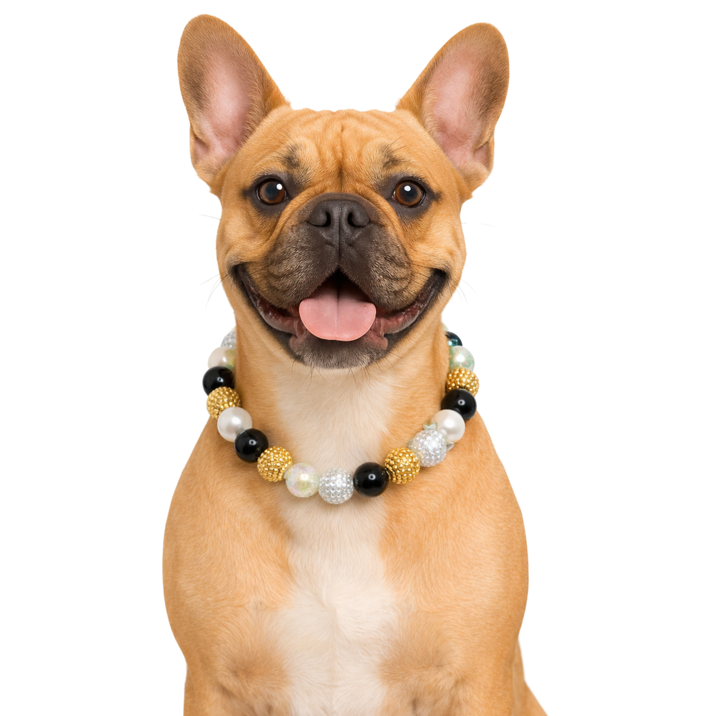 Shiny Beaded New Year Dog Collar-Adjustable