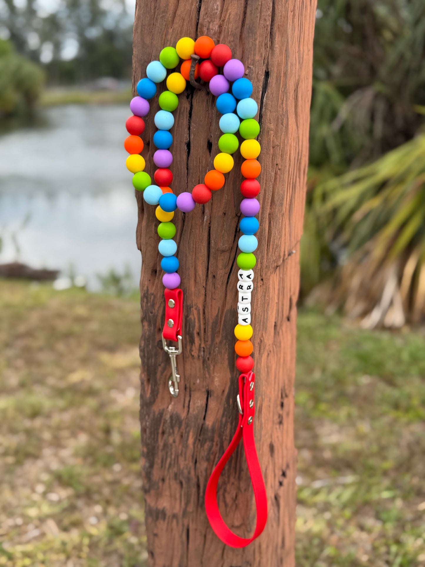 Pride Beaded dog leash