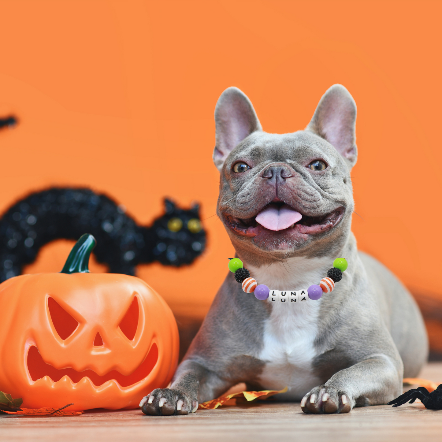Holiday Dog Collar-Adjustable