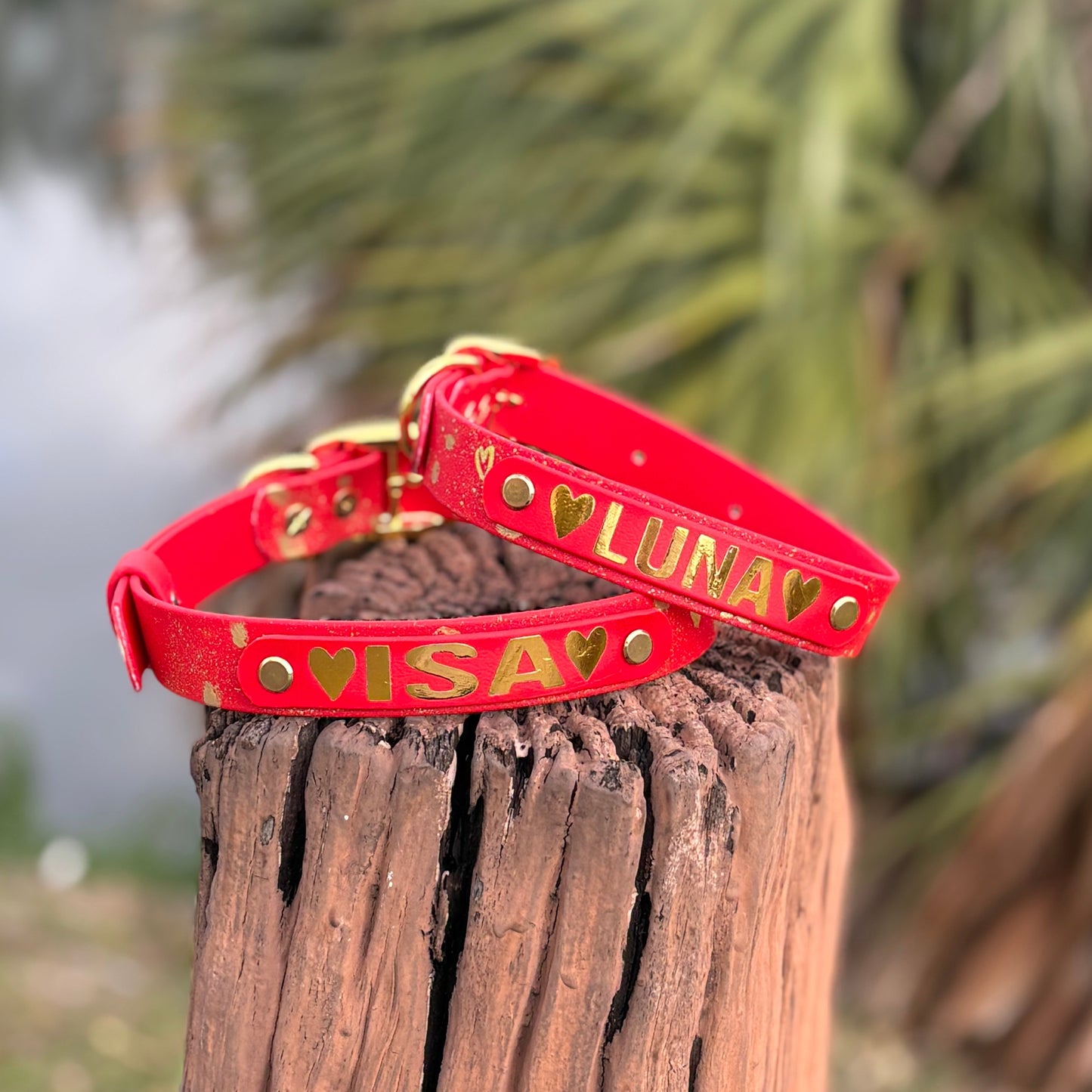 Velentines Red dog collar with name added on a wooden post with a blurred natural background