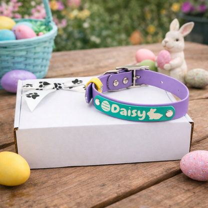 Easter Biothane® Dog Collar - Custom Name