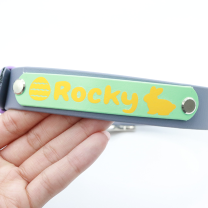 Easter Biothane® Dog Collar - Custom Name
