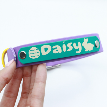 Easter Biothane® Dog Collar - Custom Name