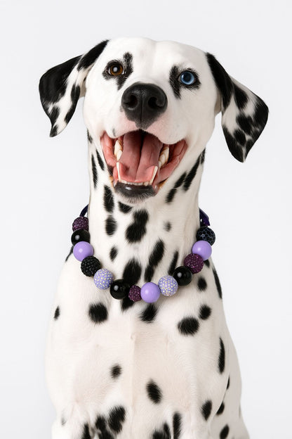 Gothic beaded dog collar-Quick