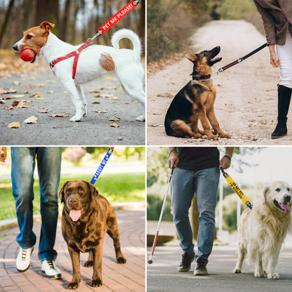 Custom Dog Leash Extender for Blind Dogs