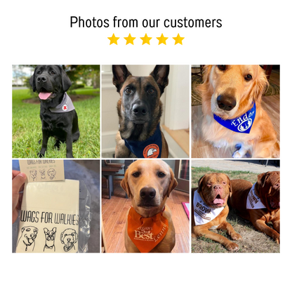 AnitasStitches custom personalized dog bandanas in various colors worn by different dog breeds