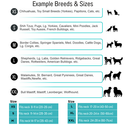 AnitasStitches dog collar size guide showing breed examples and neck measurements from XS to XXL for pet owners.