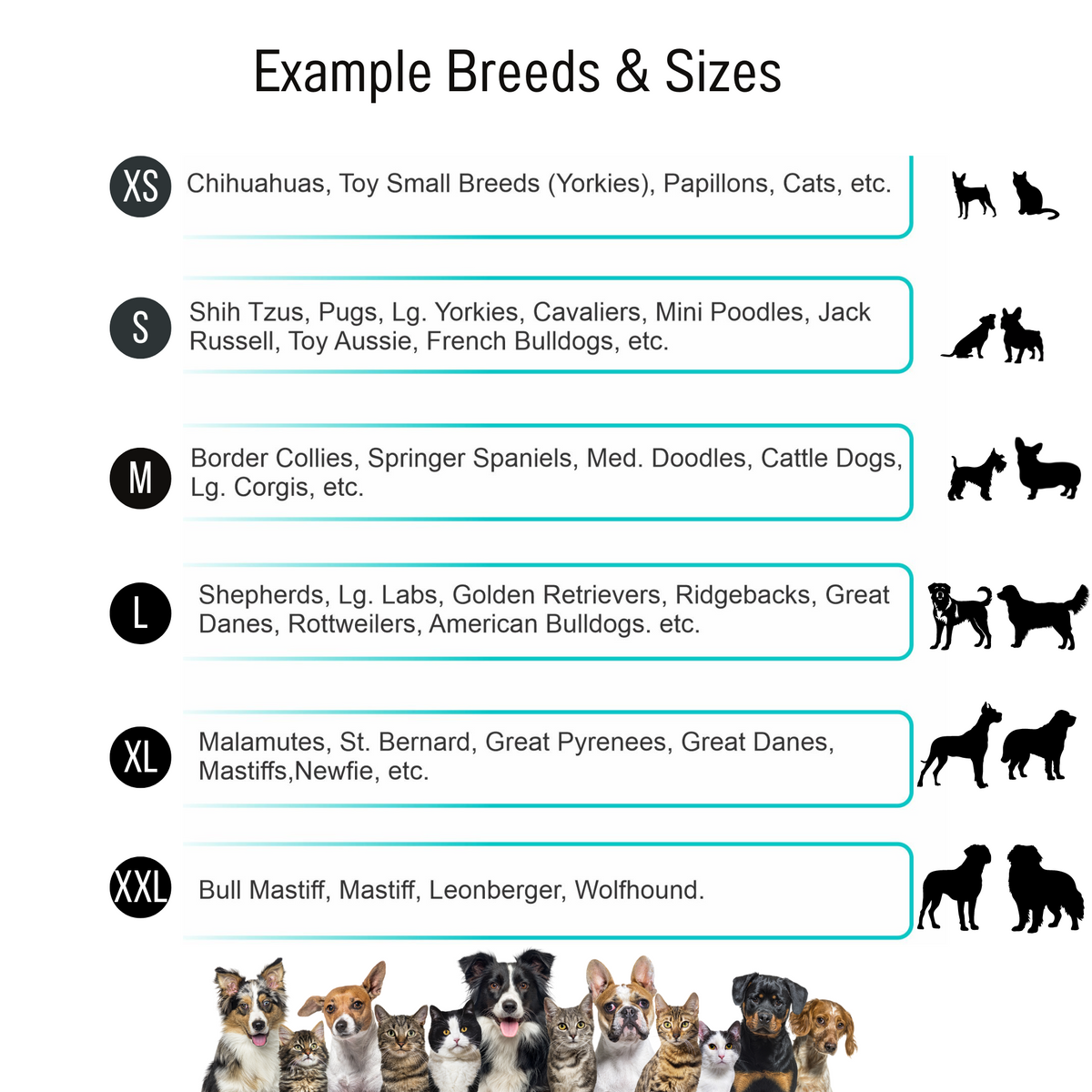 AnitasStitches dog costume size guide chart showing breed examples for sizes XS to XXL with dog and cat silhouettes