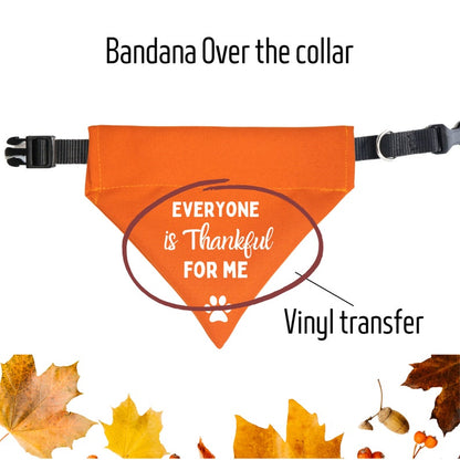 AnitasStitches orange Thanksgiving dog bandana with Everyone is Thankful For Me vinyl text and a paw print design.