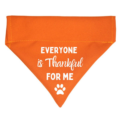 AnitasStitches orange Thanksgiving dog bandana with white text Everyone is Thankful FOR ME and a paw print design