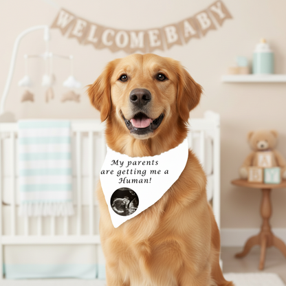 AnitasStitches white personalized dog bandana with pregnancy announcement text and ultrasound photo in a nursery