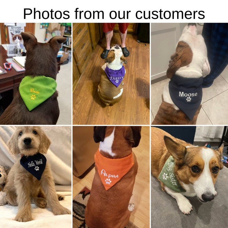 AnitasStitches personalized dog bandanas in various colors worn by different dogs, featuring custom names and paw prints
