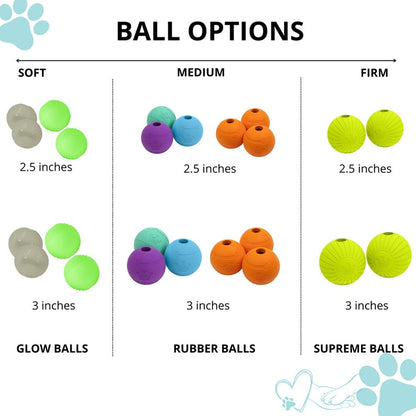 Dog Ball Toy