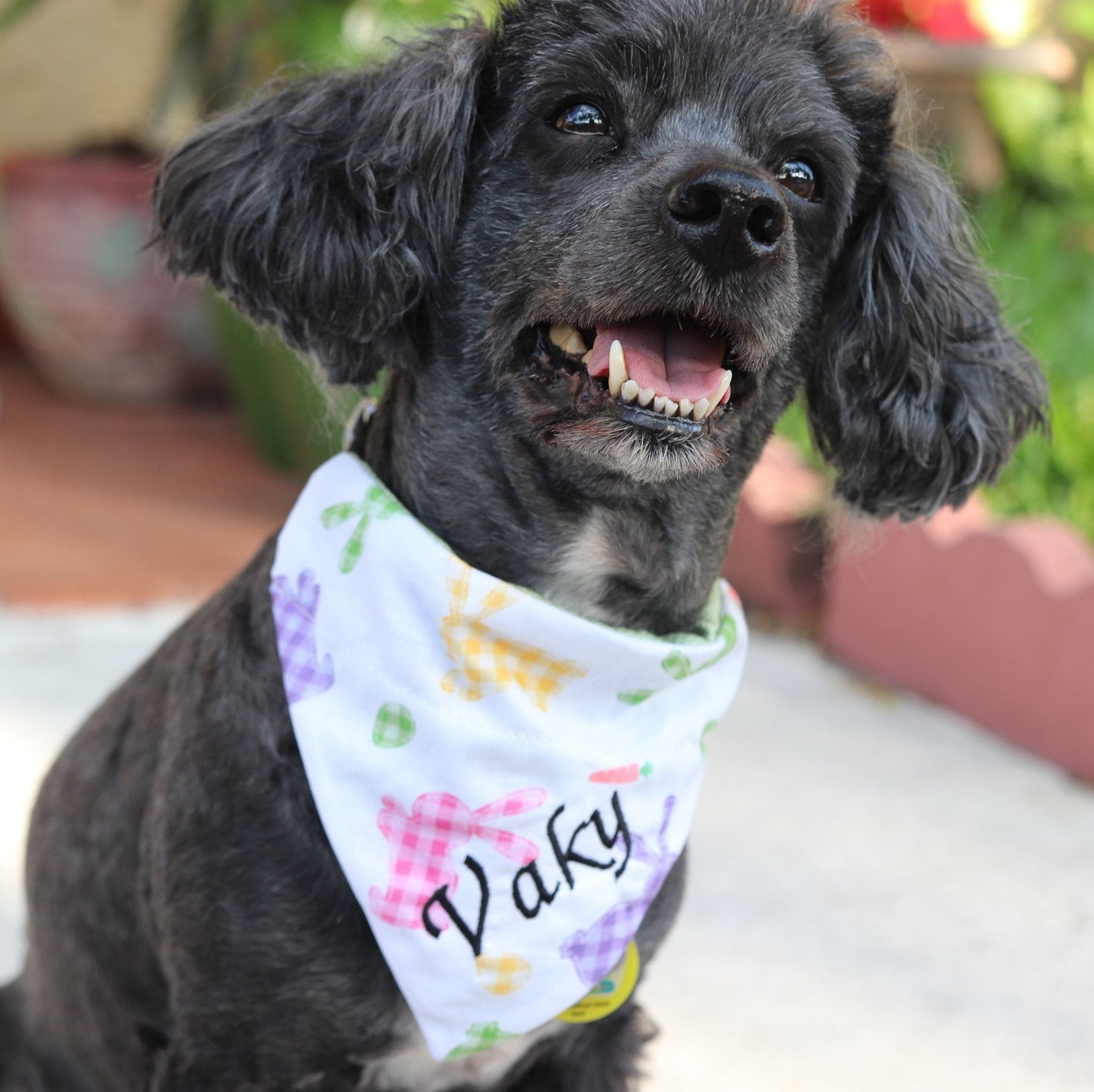 Personalized Easter Dog Bandana