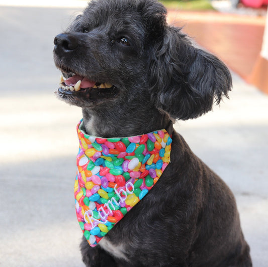 Personalized Easter Dog Bandana- Easter Eggs