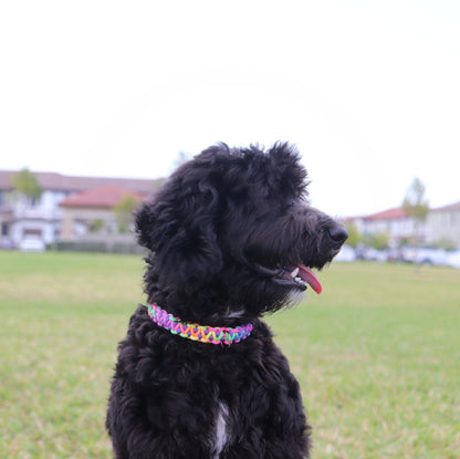 Paracord Dog Collar