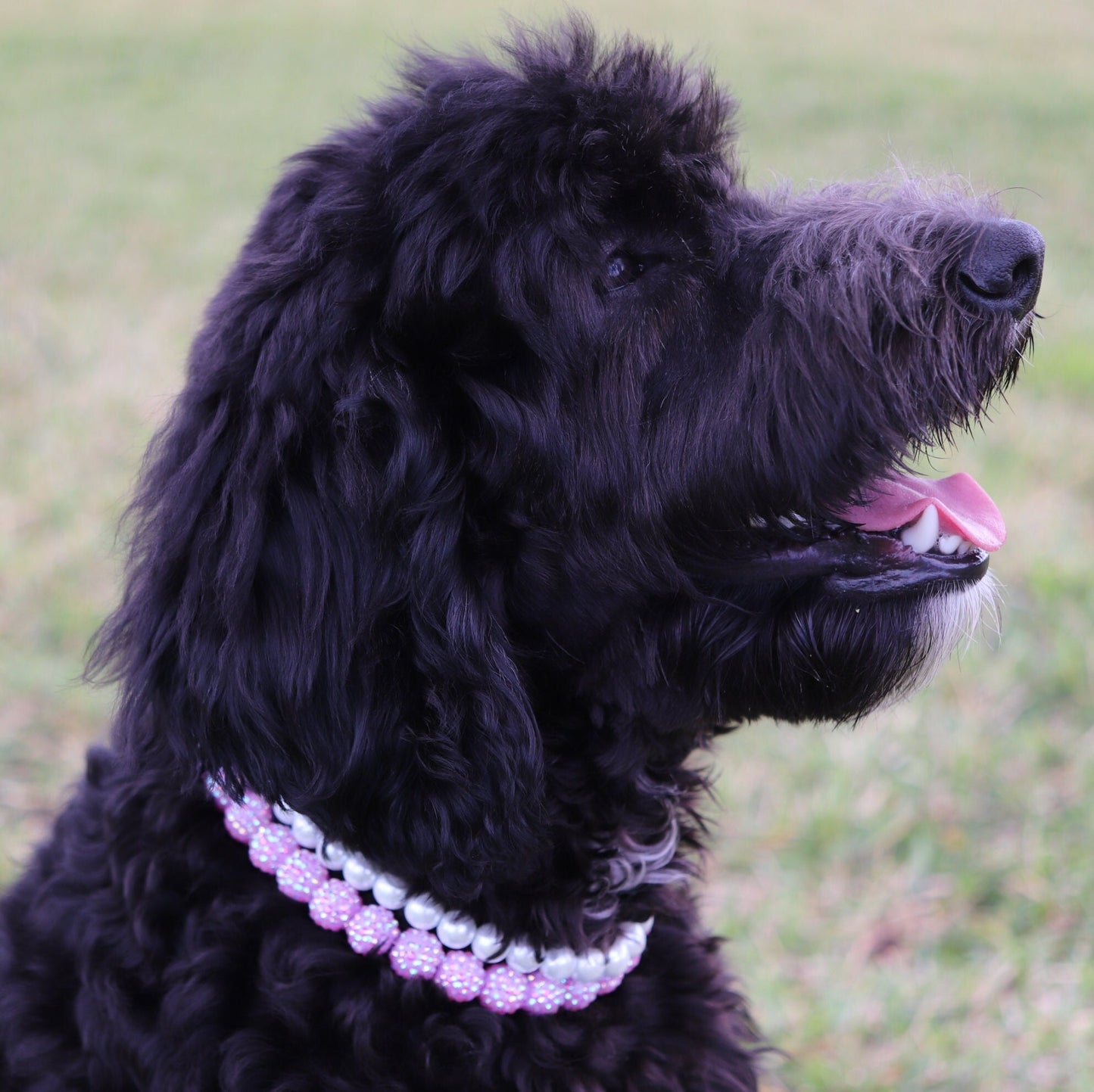 Elastic Pearl Dog Collar