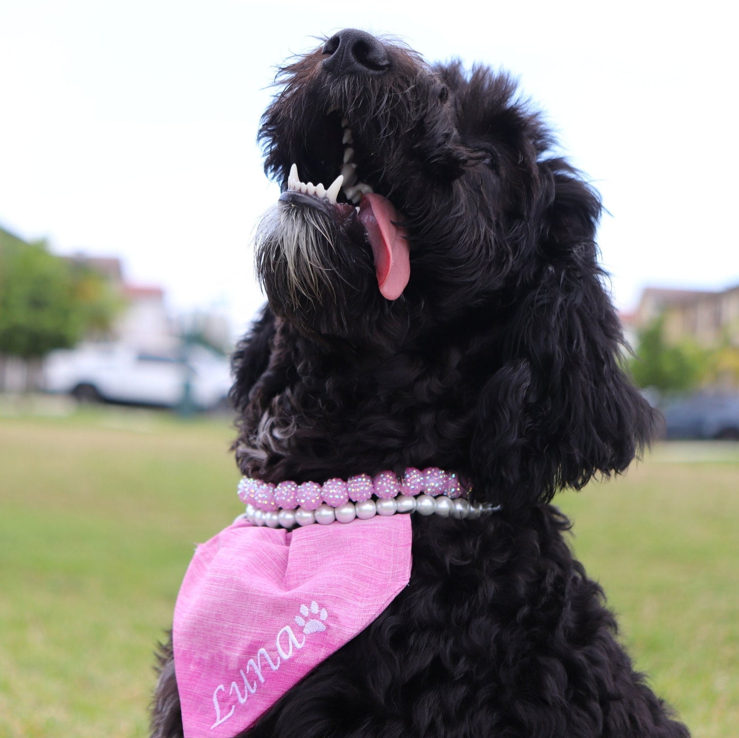 Elastic Pearl Dog Necklace