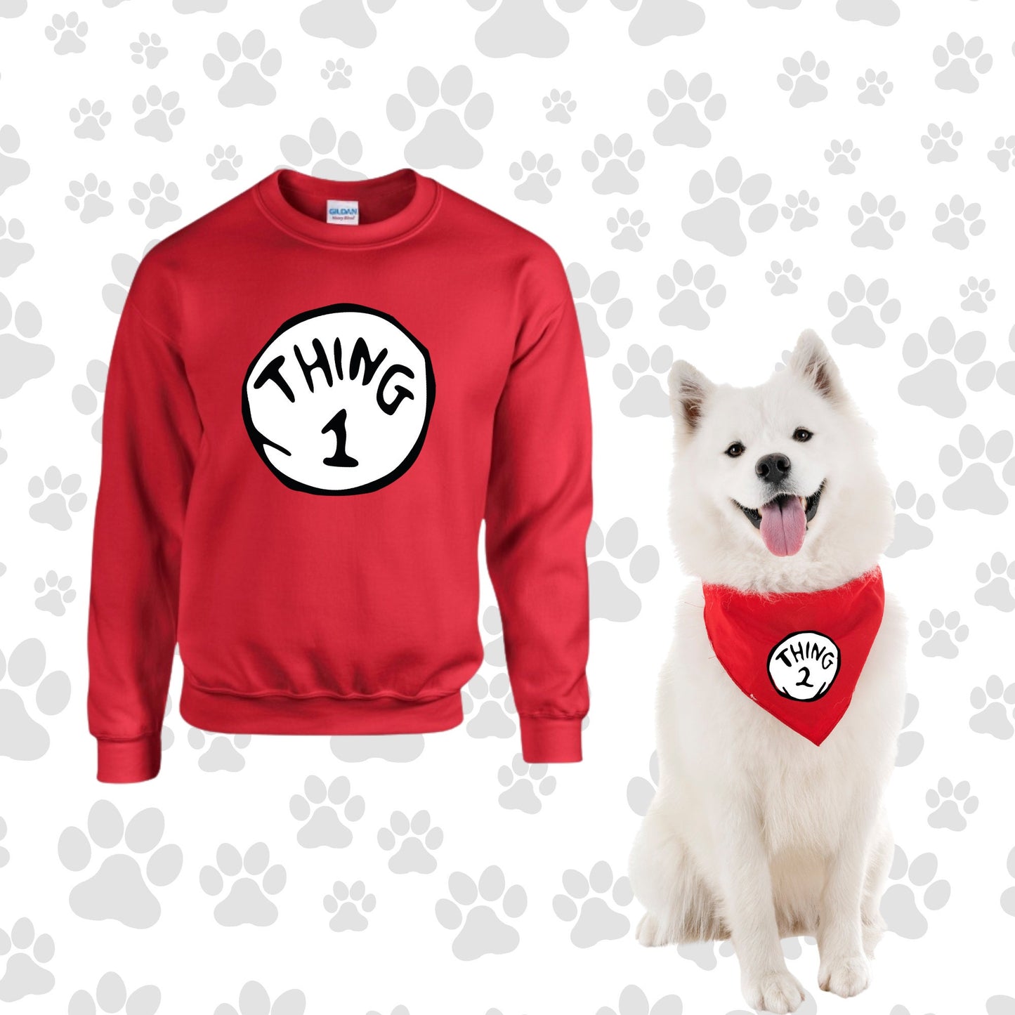 Matching Dog and Owner Thing -Dr Seuss